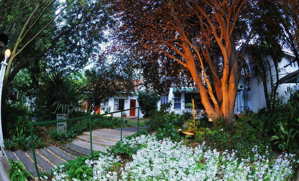 יוהנסבורג Garden Place Guest Houses חדר תמונה