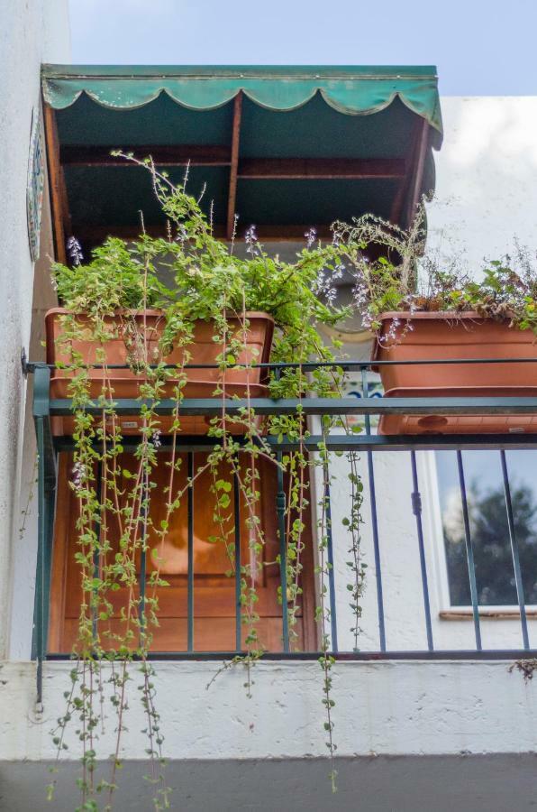 יוהנסבורג Garden Place Guest Houses מראה חיצוני תמונה