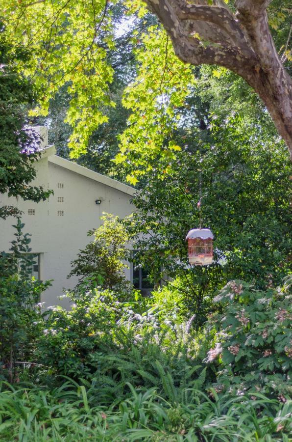יוהנסבורג Garden Place Guest Houses מראה חיצוני תמונה